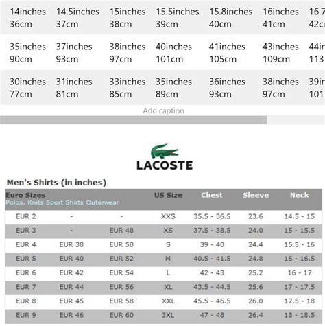 size 40 lacoste chart